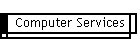 Computer Services